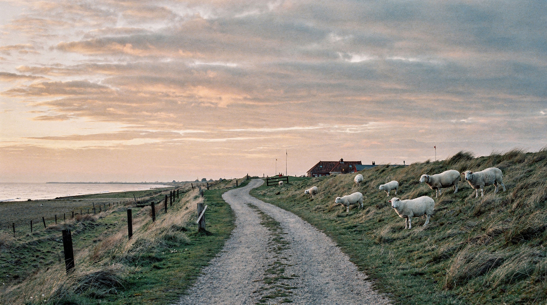 Der Deichweg am Abend